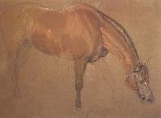 Sir edwin landseer,ra Study of a Horse (mk46) oil painting picture wholesale